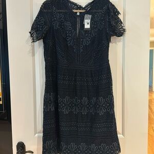 City chic navy lace dress